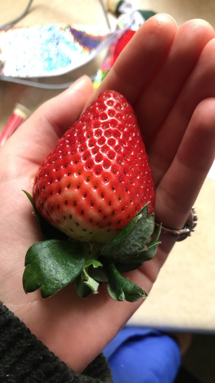 Big Berry or Small Hand